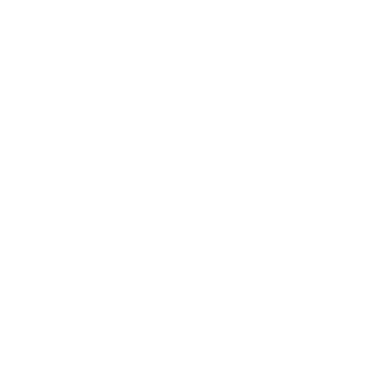 Instagram logo icon for social media link