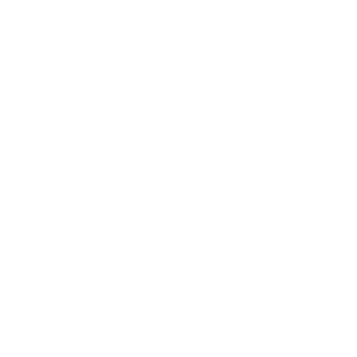 YouTube logo icon for social media link